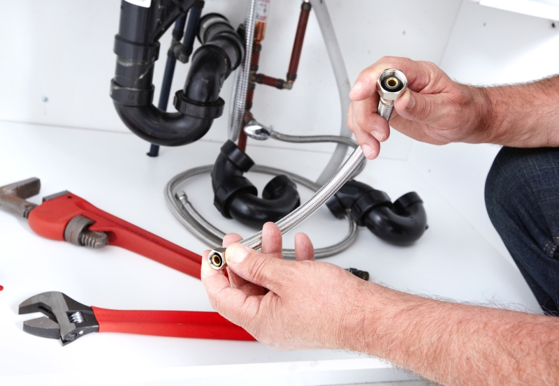 Toilet repair being carried out in West Horsley